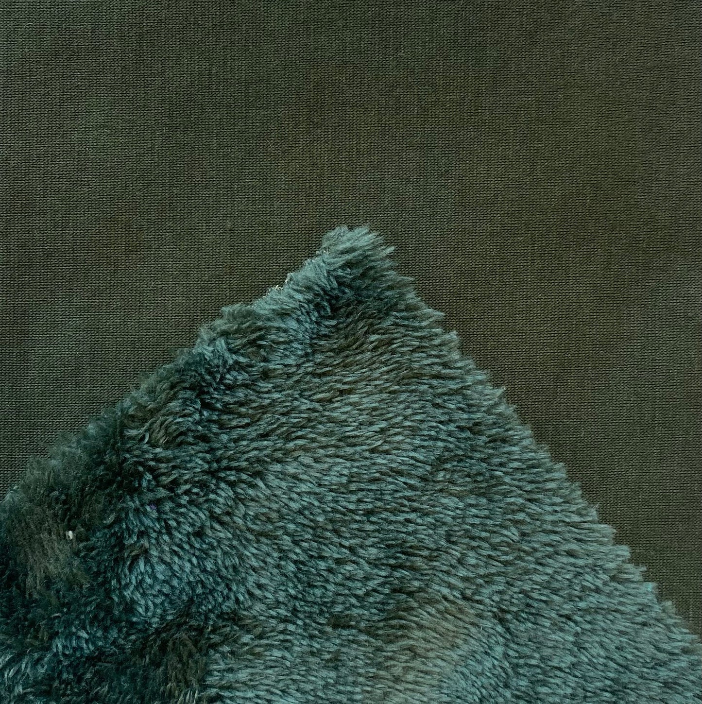 himalaya